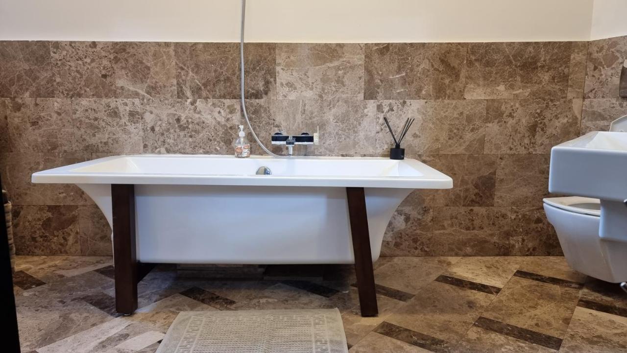 Neuhausz Suite - Ultracentral Timișoara Zewnętrze zdjęcie