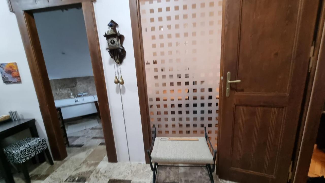 Neuhausz Suite - Ultracentral Timișoara Zewnętrze zdjęcie
